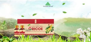 nuoc-cot-sam-trieu-tien-oricoe2