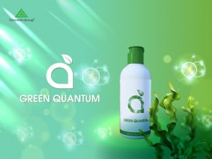 Nước diệp lục Green Quantum